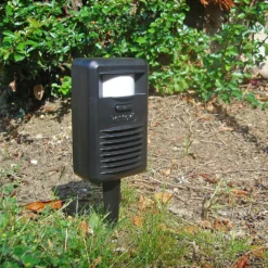 Rentokil Pestfree Cat And Fox Deterrent -10m Range -Elise Bloom 12804027 2064895359024587