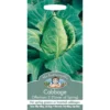 Mr. Fothergill's Cabbage Offenham 2 Flower Of Spring (Brassica Oleracea Capitata) Seeds -Elise Bloom 12804136 7014831949495973