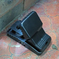 Rentokil Quick Set Rat Trap -Elise Bloom 12804151 7044895855212890