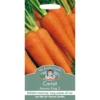 Mr. Fothergill's Carrot Autumn King 2 (Daucus Carota) Seeds 2 Mr. Fothergill's Carrot Autumn King 2 (Daucus Carota) Seeds -Elise Bloom 12804315 4134831954981785