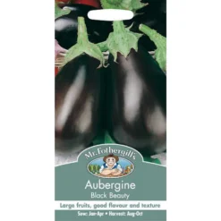 Aubergine Black Beauty Seeds