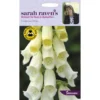 Sarah Ravens Foxglove Alba Seeds 2 Sarah Ravens Foxglove Alba Seeds -Elise Bloom 12804439 1734831420684296