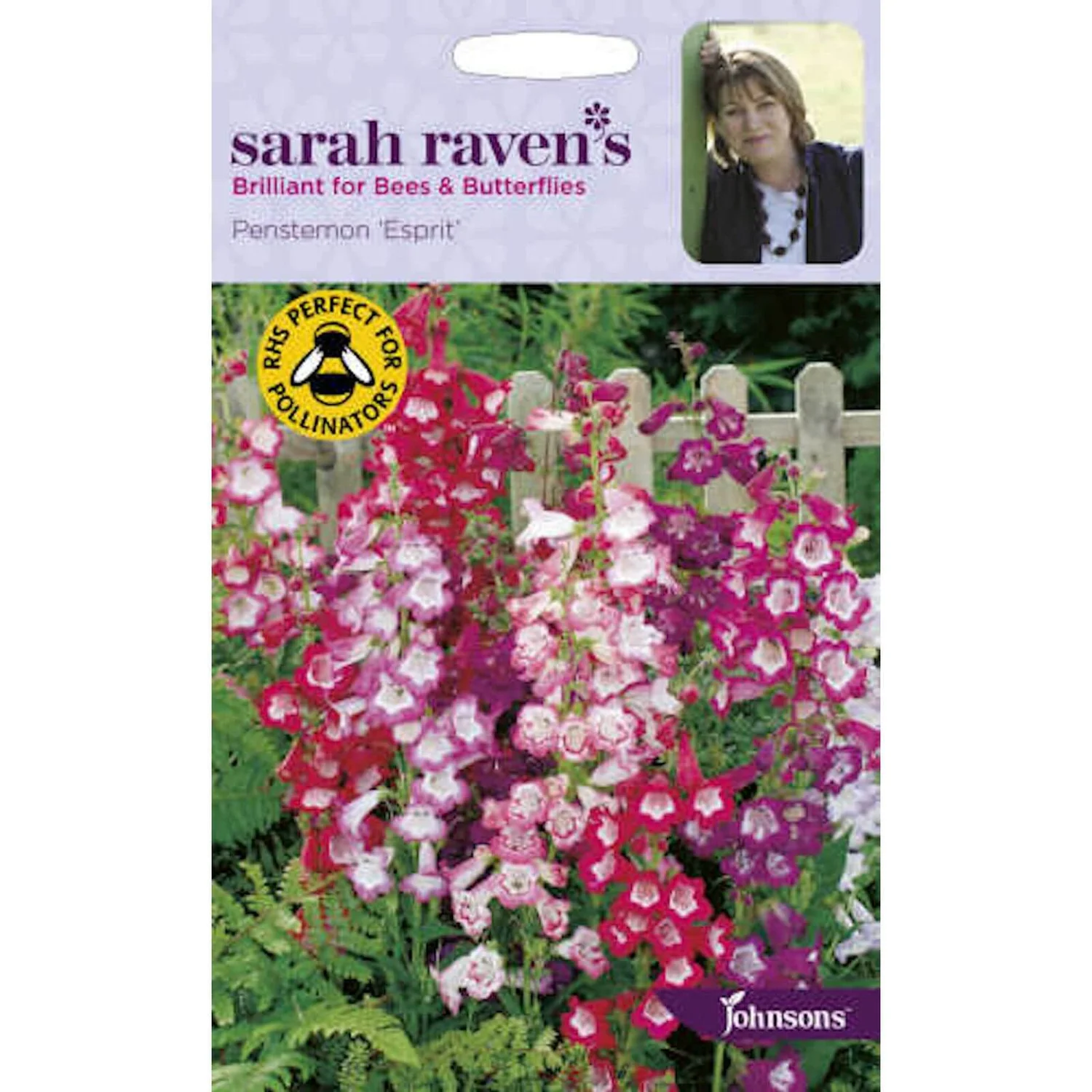 Sarah Ravens Penstemon Esprit Seeds 3 Sarah Ravens Penstemon Esprit Seeds