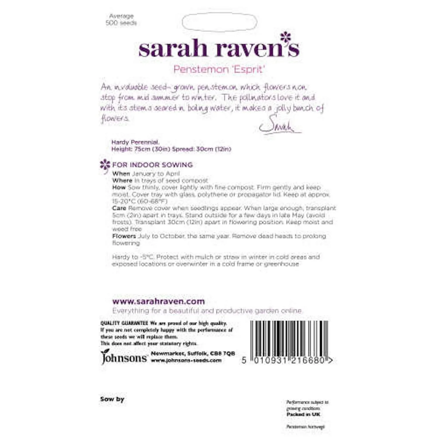 Sarah Ravens Penstemon Esprit Seeds 4 Sarah Ravens Penstemon Esprit Seeds - Image 2