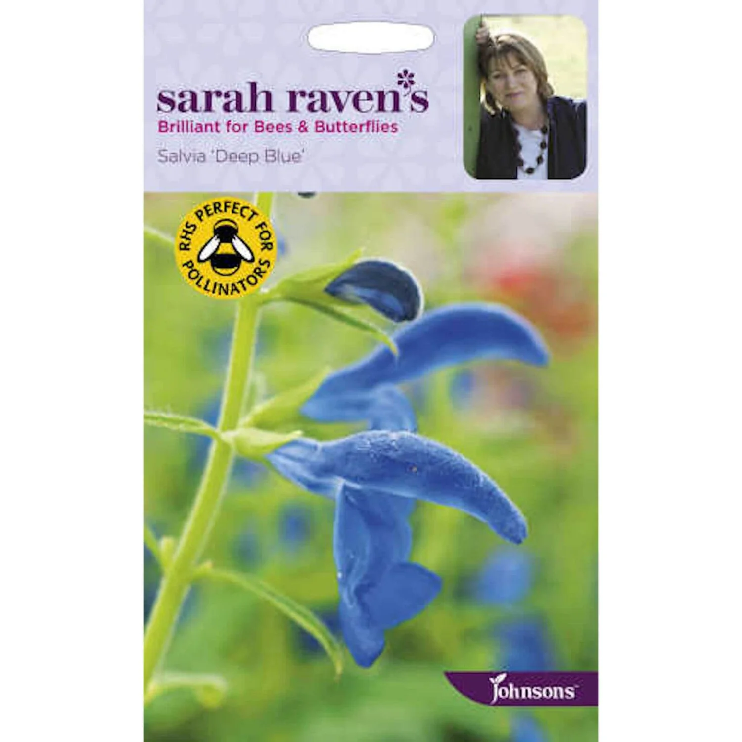 Sarah Ravens Salvia Deep Blue Seeds 3 Sarah Ravens Salvia Deep Blue Seeds