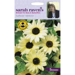Sarah Ravens Sunflower Vanilla Ice Seeds