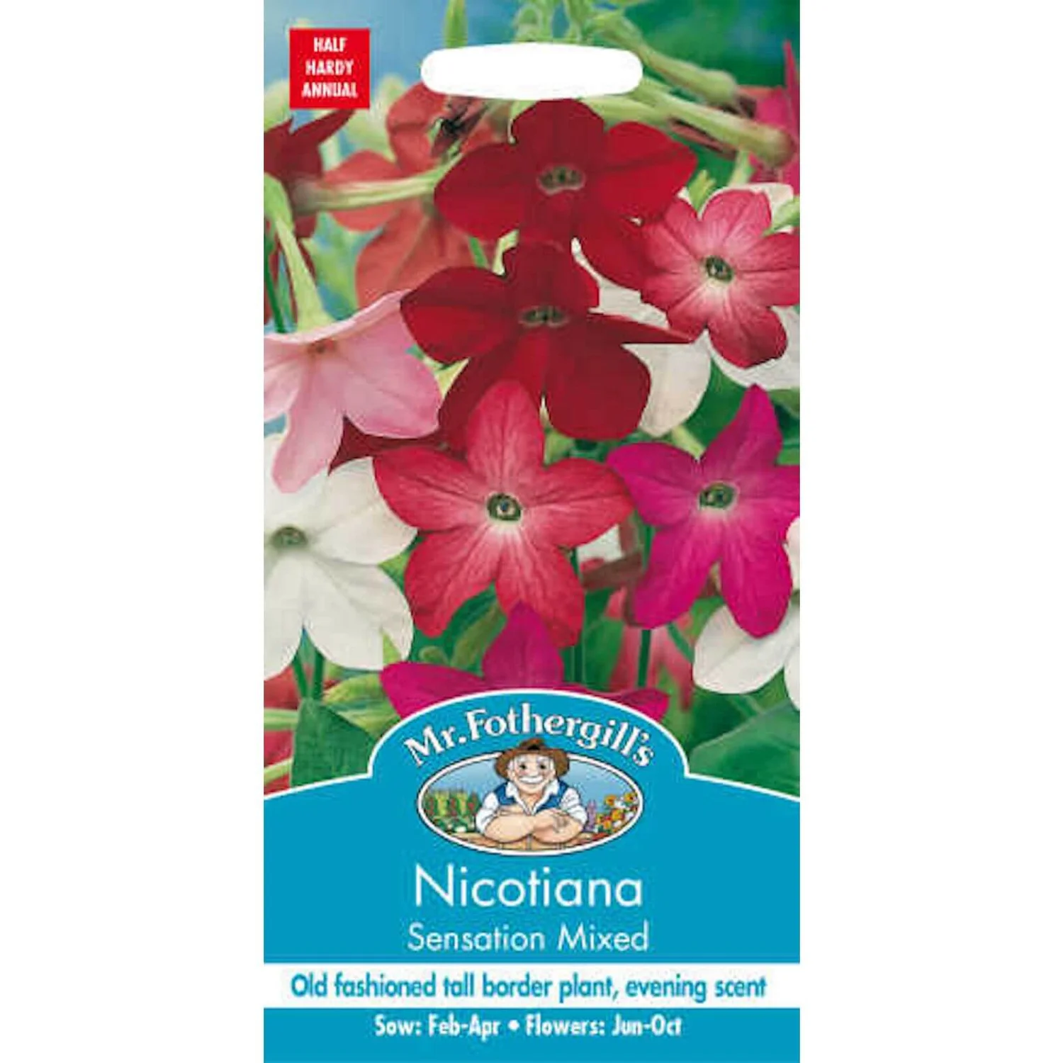 Mr. Fothergill's Nicotiana Sensation Mixed Seeds 3 Mr. Fothergill's Nicotiana Sensation Mixed Seeds