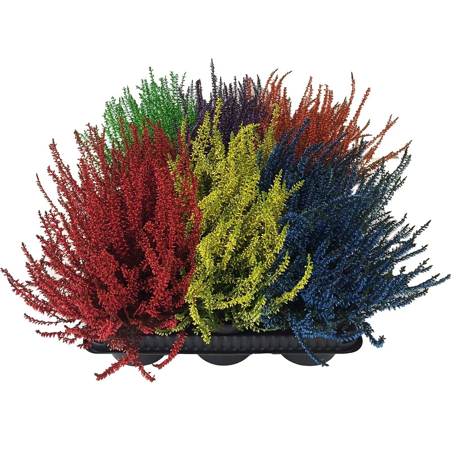 None Heather Mix 3 None Heather Mix