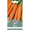 Mr. Fothergill's Carrot Early Nantes 5 (Daucus Carota) Seeds -Elise Bloom 12804776 1324843299961959