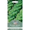 Brussels Sprout Evesham Special (Brassica Oleracea Gemmifera) Vegetable Seeds 2 Brussels Sprout Evesham Special (Brassica Oleracea Gemmifera) Vegetable Seeds -Elise Bloom 12804882 1734842795505287