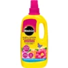 Miracle-Gro Azalea, Camellia & Rhododendron Concentrated Liquid Plant Food - 1L -Elise Bloom 12804885 1764842795534435