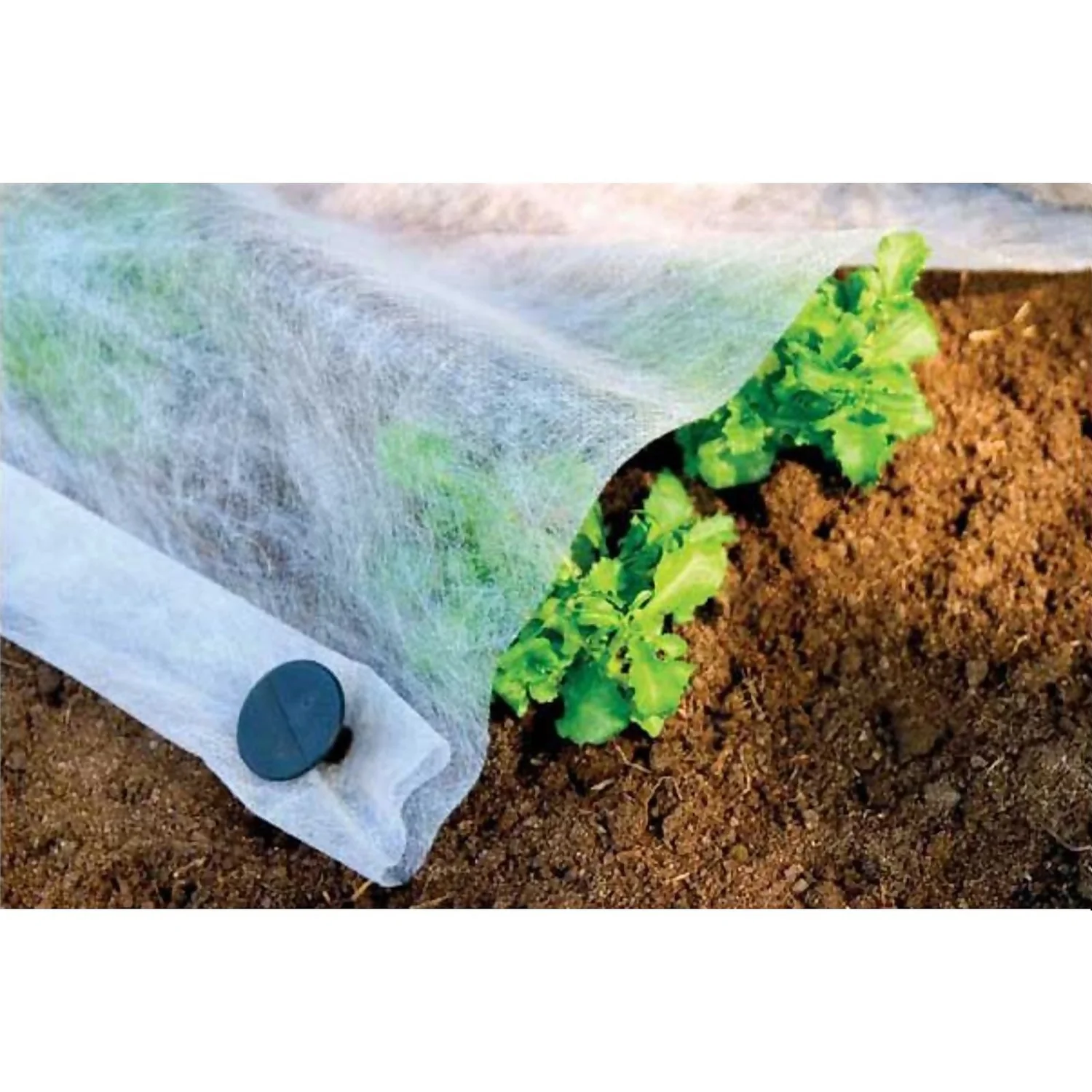 Plant Protection Fleece - 4.5 X 2.2m 3 Plant Protection Fleece - 4.5 X 2.2m