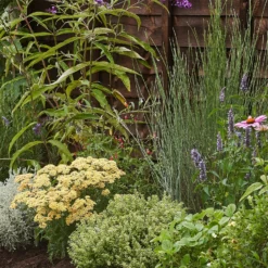 Sensory Border Collection - 4m X 60cm -Elise Bloom 12806835 1505034598252290