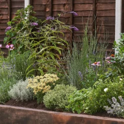 Sensory Border Collection - 4m X 60cm