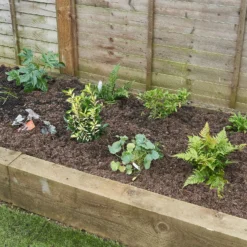 Sensory Border Collection - 9m X 60cm -Elise Bloom 12806939 1215034598839114