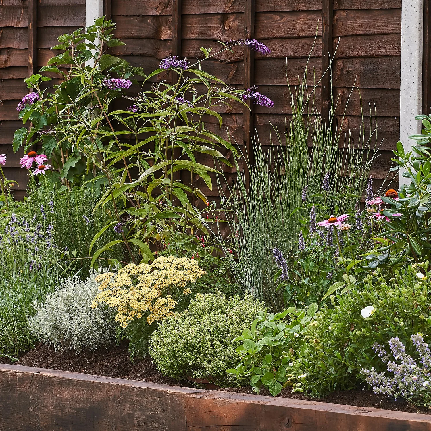 Sensory Border Collection - 5m X 90cm 3 Sensory Border Collection - 5m X 90cm