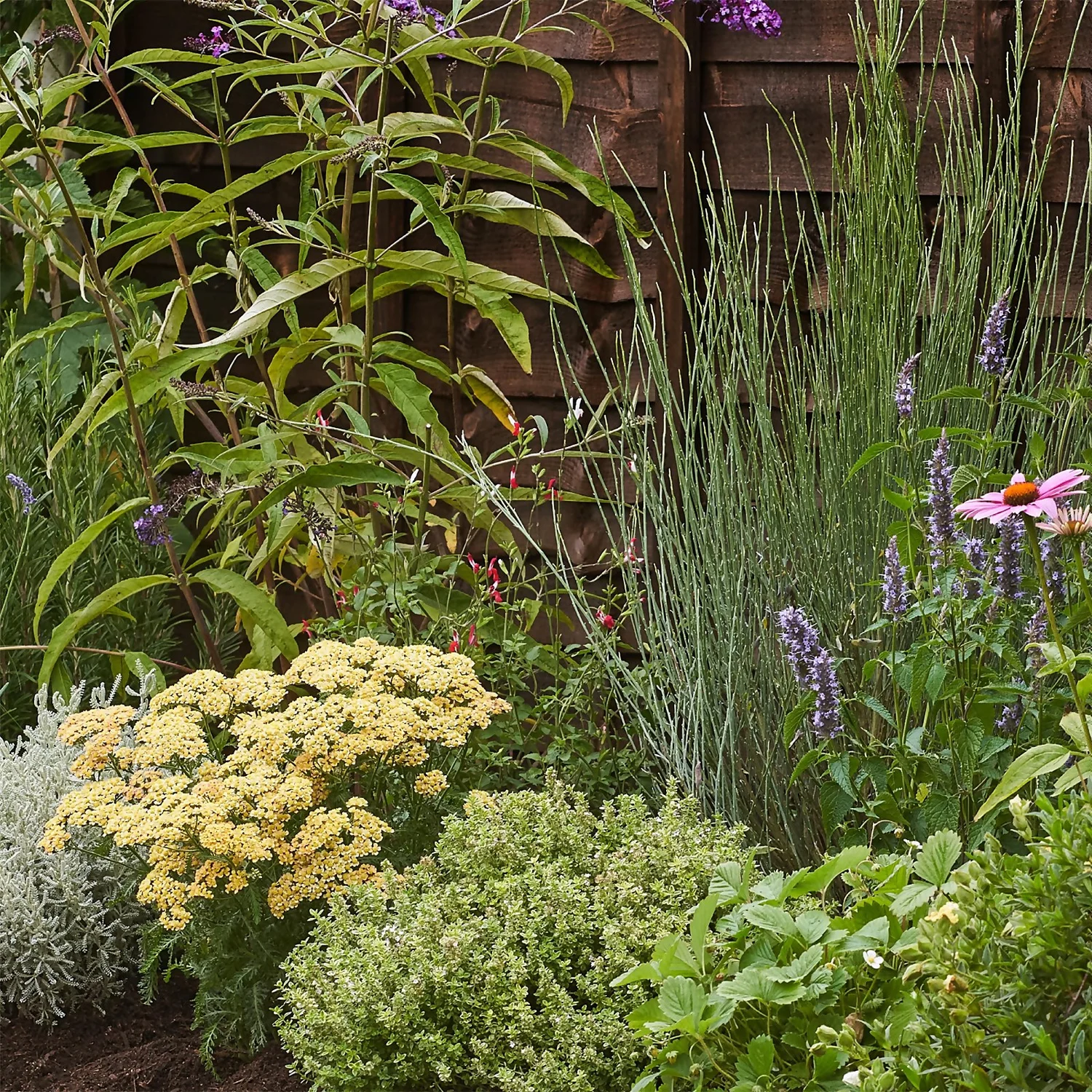 Sensory Border Collection - 6m X 90cm 7 Sensory Border Collection - 6m X 90cm - Image 5