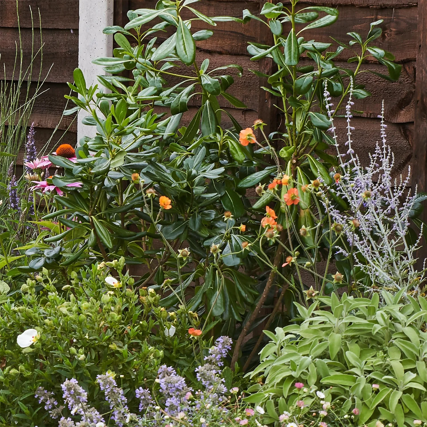 Sensory Border Collection - 9m X 90cm 8 Sensory Border Collection - 9m X 90cm - Image 6