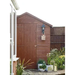 Grass Festuca Intense Blue (Blue Fescue) 17cm -Elise Bloom 12807045 1834833169401858