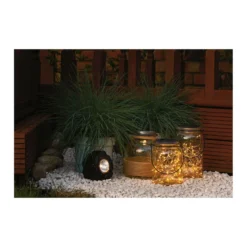 Grass Festuca Intense Blue (Blue Fescue) 17cm -Elise Bloom 12807045 7014833169526928