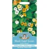 Mr. Fothergill's Black Eyed Susan Susie Mixed (Thunbergia Alata) Seeds -Elise Bloom 12807068 1604843311154773