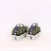 Lavandula/Lavender Angustifolia 6 Pack -Elise Bloom 12807176 1445033080623543