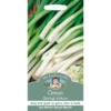 Mr. Fothergill's Spring Onion Ishikura (Allium Fistulosum) Bulbs -Elise Bloom 12807551 1024831940241540