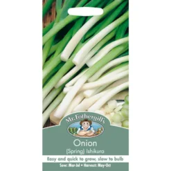 Mr. Fothergill's Spring Onion Ishikura (Allium Fistulosum) Bulbs