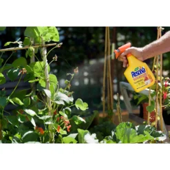 Resolva Bug Killer - 1L -Elise Bloom 12807606 3485019845587767