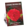 None Begonia - Red - Summer Bloom Bulbs 2 None Begonia - Red - Summer Bloom Bulbs -Elise Bloom 12807873 2115020399369989