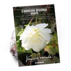 None Begonia - White - Summer Bloom Bulbs