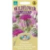 Mr. Fothergill's Greater Knapweed Seeds -Elise Bloom 12807922 1274843311534240