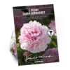 None Paeonia - Summer Bloom Bulbs 1 None Paeonia - Summer Bloom Bulbs -Elise Bloom 12808001 1765020399526676