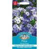 Mr. Fothergill's Phlox Moody Blues Seeds 1 Mr. Fothergill's Phlox Moody Blues Seeds -Elise Bloom 12808023 1064843311600945
