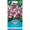 Mr. Fothergill's Sweet Rocket Mixed Seeds -Elise Bloom 12808036 1404843311634407