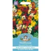 Mr. Fothergill's Wallflower Monarch Fair Lady Seeds 2 Mr. Fothergill's Wallflower Monarch Fair Lady Seeds -Elise Bloom 12808185 1234843311813255