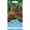 Mr. Fothergill's Chinese Lanterns (Physalis Alkekengi) Seeds