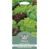 Mr. Fothergill's Lettuce Headed Mixed (Lactuca Sativa) Seeds -Elise Bloom 12808438 1244831969635498