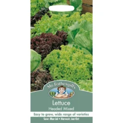 Mr. Fothergill's Lettuce Headed Mixed (Lactuca Sativa) Seeds