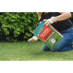 Gro-Sure Fast Acting Lawn Seed - 80m² -Elise Bloom 12808830 1104925482158759