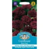 Mr. Fothergill's Cornflower Black Ball (Centaurea Cyanus) Seeds -Elise Bloom 12809521 6524831917866613