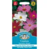 Mr. Fothergill's Cosmos Sensation Mixed Seeds -Elise Bloom 12809530 3814831909791858