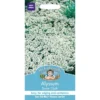 Mr. Fothergill's Alyssum Snow Cloth Seeds 1 Mr. Fothergill's Alyssum Snow Cloth Seeds -Elise Bloom 12809778 1744831420262277