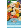 Mr. Fothergill's Californian Poppy Monarch Art Shades (Eschscholzia Californica) Seeds 2 Mr. Fothergill's Californian Poppy Monarch Art Shades (Eschscholzia Californica) Seeds -Elise Bloom 12810274 8624831966005885