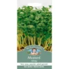 Mr. Fothergill's Mustard White (Brassica Sinapsis Alba) Seeds 2 Mr. Fothergill's Mustard White (Brassica Sinapsis Alba) Seeds -Elise Bloom 12810344 2104831898760111