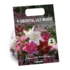 None Mixed Lilies - Summer Bloom Bulbs -Elise Bloom 12810510 8765020398928287