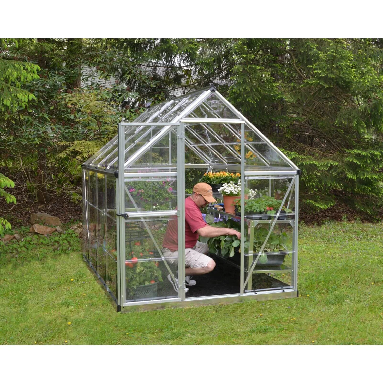 Palram 6 X 8ft Canopia Harmony Greenhouse - Silver 6 Palram 6 X 8ft Canopia Harmony Greenhouse - Silver - Image 4