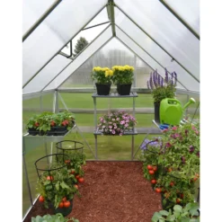 Palram 6 X 8ft Canopia Mythos Greenhouse - Silver 20 Palram 6 X 8ft Canopia Mythos Greenhouse - Silver -Elise Bloom 12810591 7504833169546098