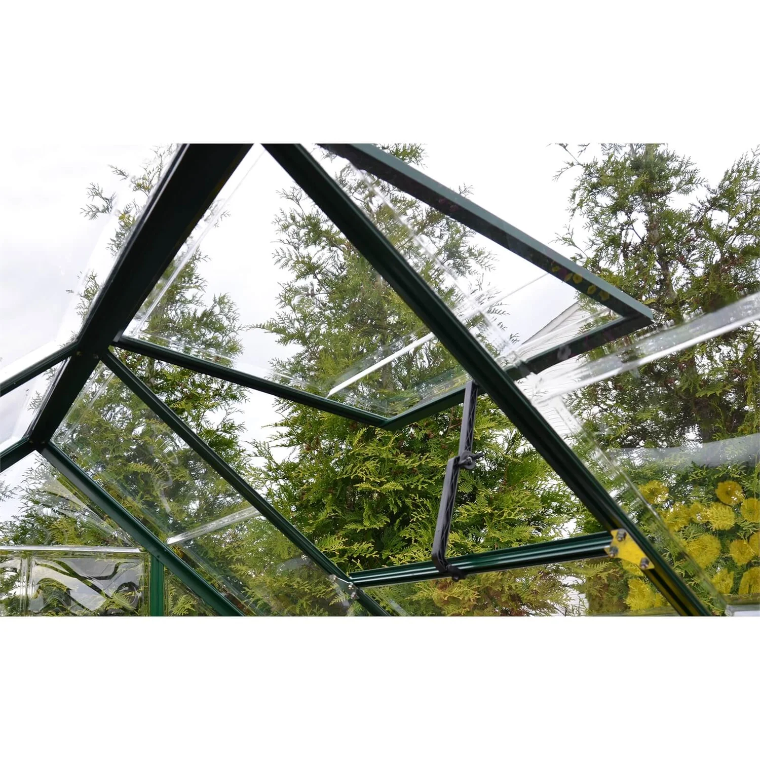 Palram 6 X 4ft Canopia Harmony Greenhouse - Green 7 Palram 6 X 4ft Canopia Harmony Greenhouse - Green - Image 5