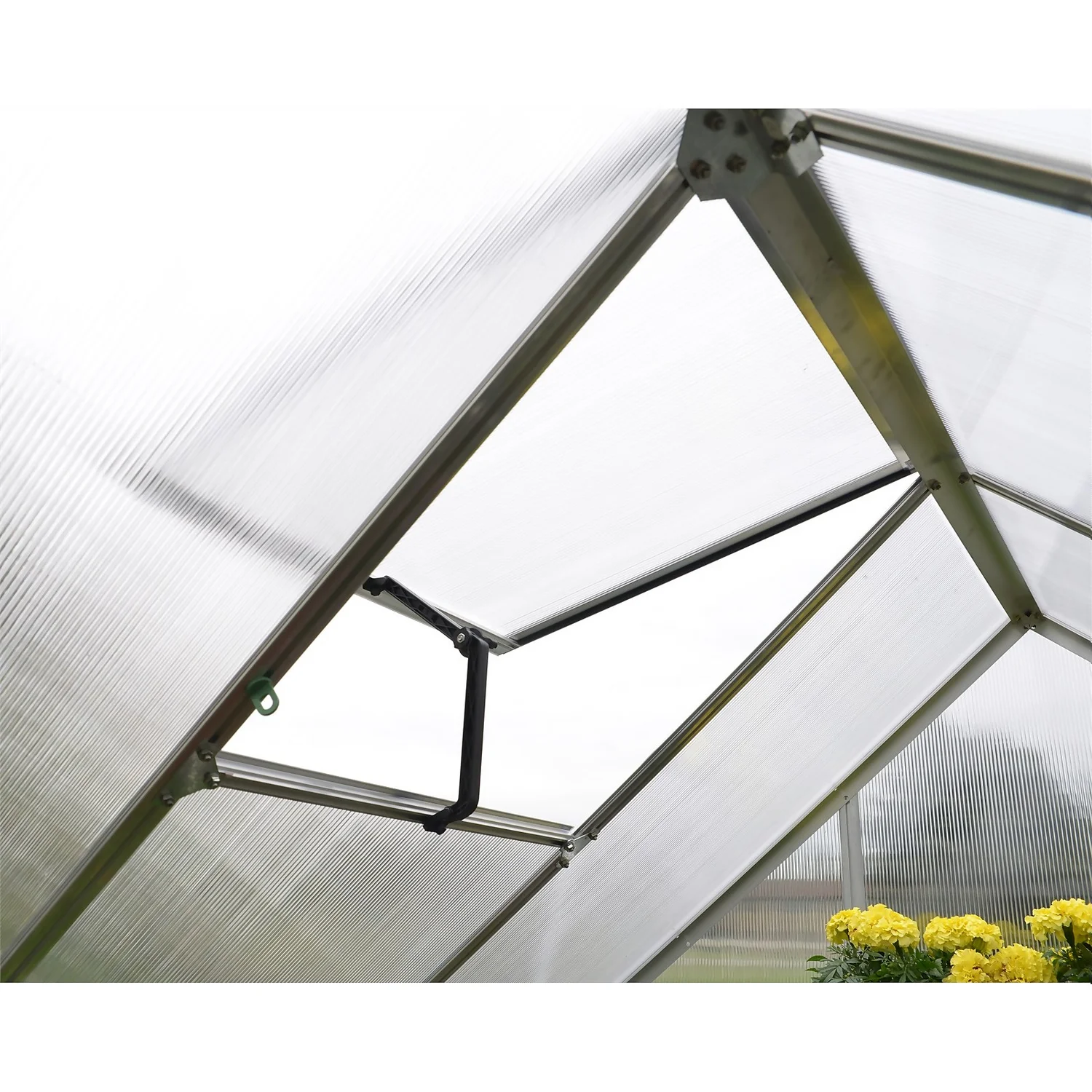 Palram 6 X 4ft Canopia Mythos Greenhouse - Silver 7 Palram 6 X 4ft Canopia Mythos Greenhouse - Silver - Image 5